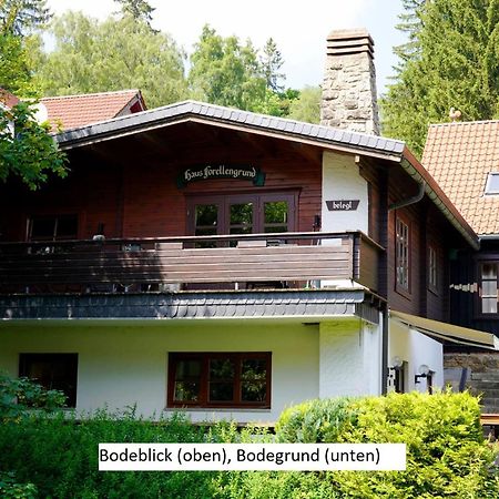Ferienwohnungen Forellengrund Schierke Dış mekan fotoğraf