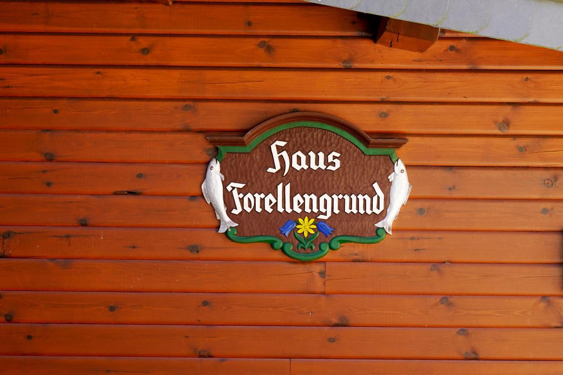 Ferienwohnungen Forellengrund Schierke Dış mekan fotoğraf